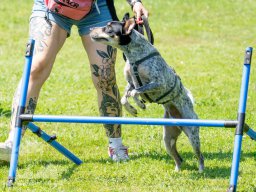Sommer-Event 2026 beim VfH Konstanz